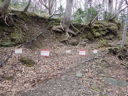 登山口の状況