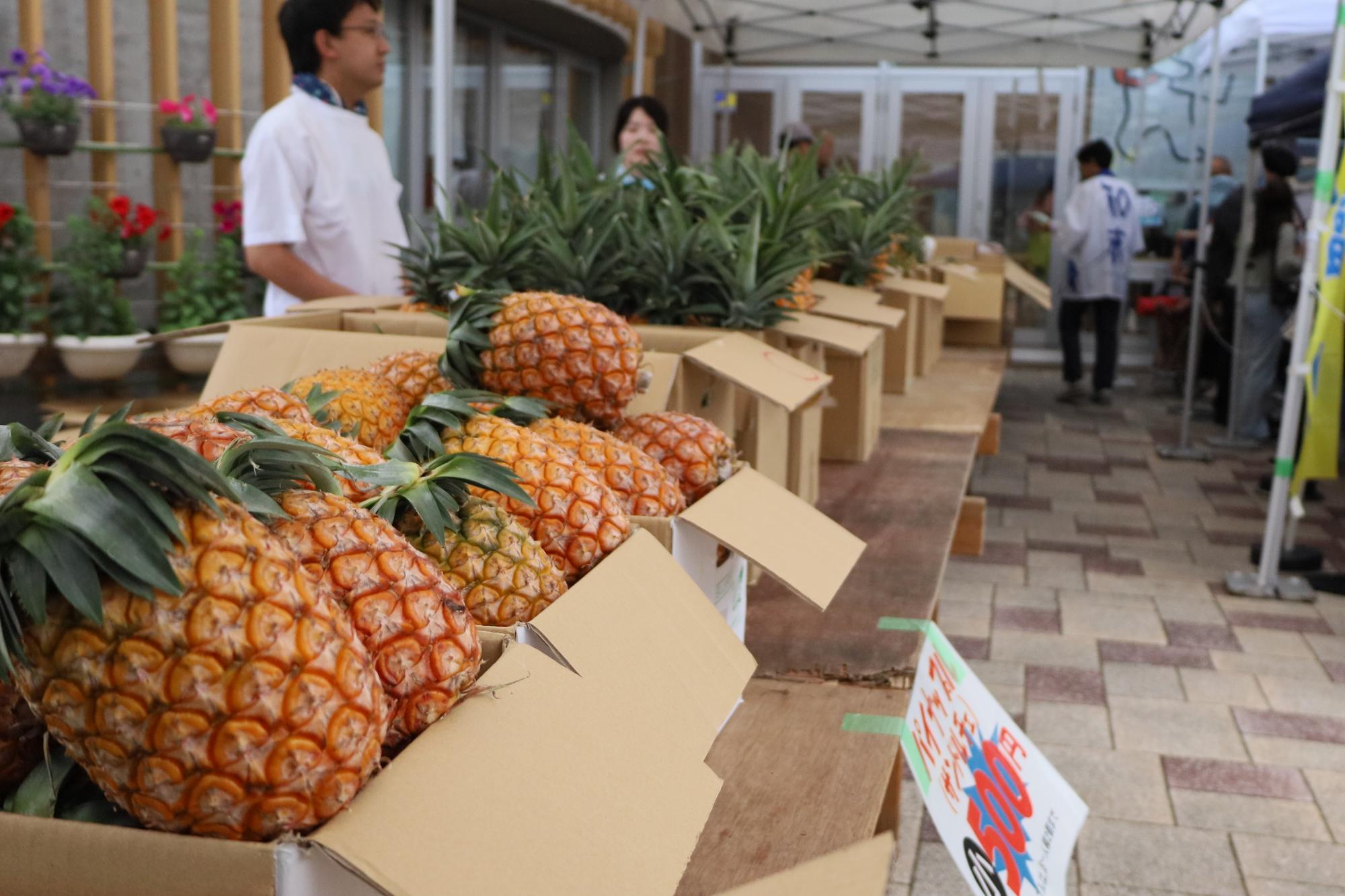 2026竹富町物産展