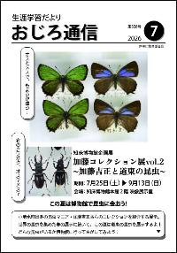 おじろ通信令和8年度7月表紙画像