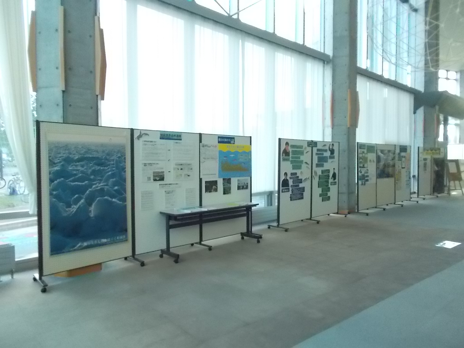 知床世界自然遺産登録20周年記念パネル展
