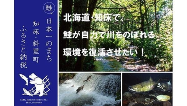 鮭、日本一のまち知床・斜里町 ふるさと納税、北海道知床で、鮭が自力で川をのぼれる環境を復活させたい！