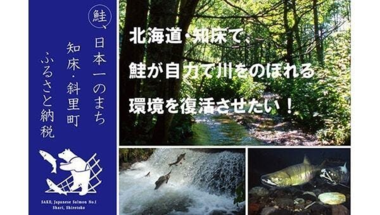 鮭が自力で川をのぼれる環境を復活させたい！（受付完了）