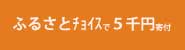 ふるさとチョイスで5千円寄付する