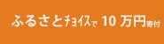 ふるさとチョイスで10万円寄付する