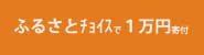 ふるさとチョイスで1万円寄付する